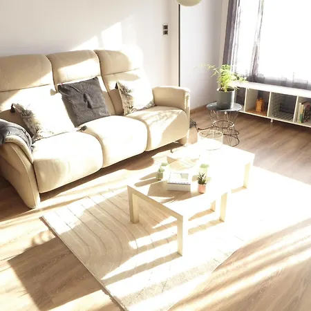 Occitane - T2 Renove *