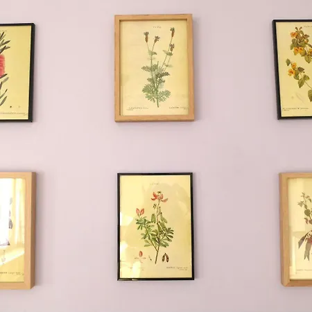 Occitane - T2 Renove דירה *